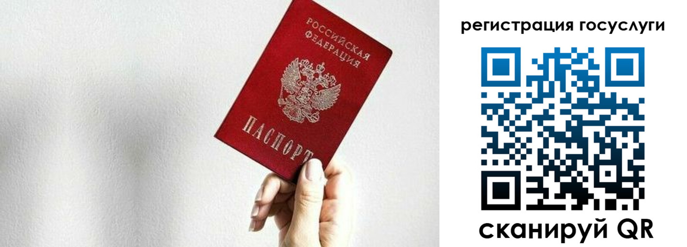 прописка гарантия в Владимире
